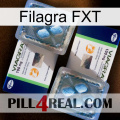 Filagra FXT viagra5